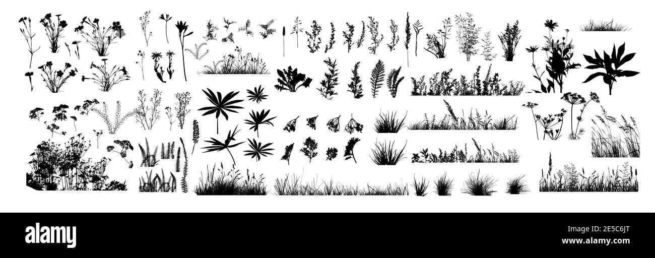 The silhouette of the grass big set. Vector illustration Stock Vector ...