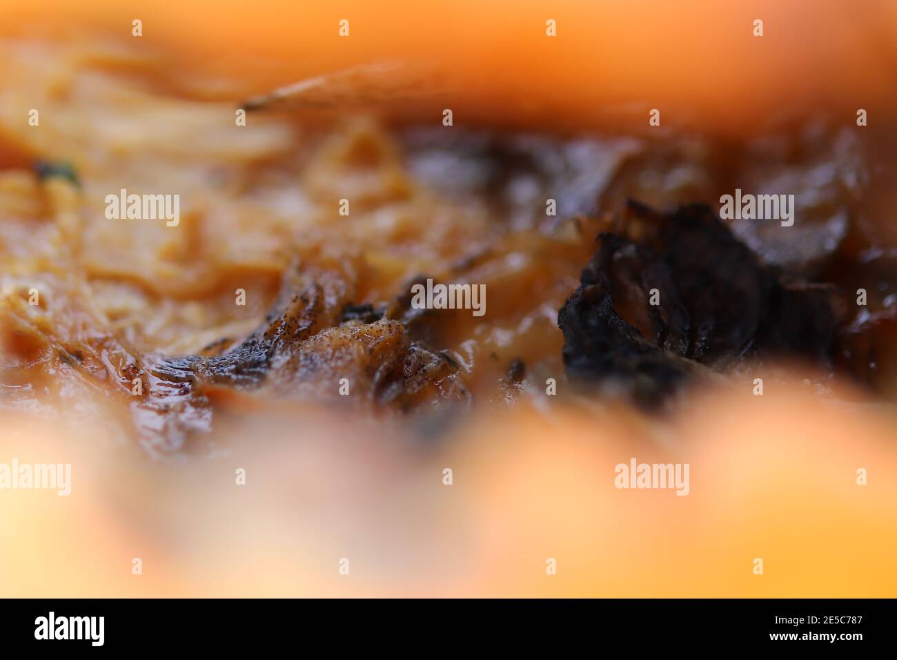 Close up of a pumpkin skin as it rots Stock Photo