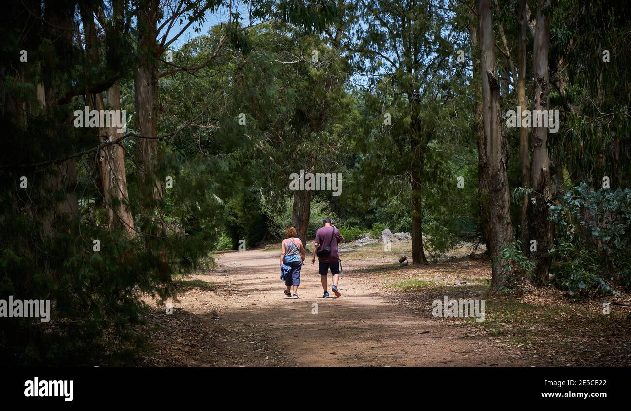 an adult couple walking through a pathway between the trees of the Arboretum Lussich Stock Photo