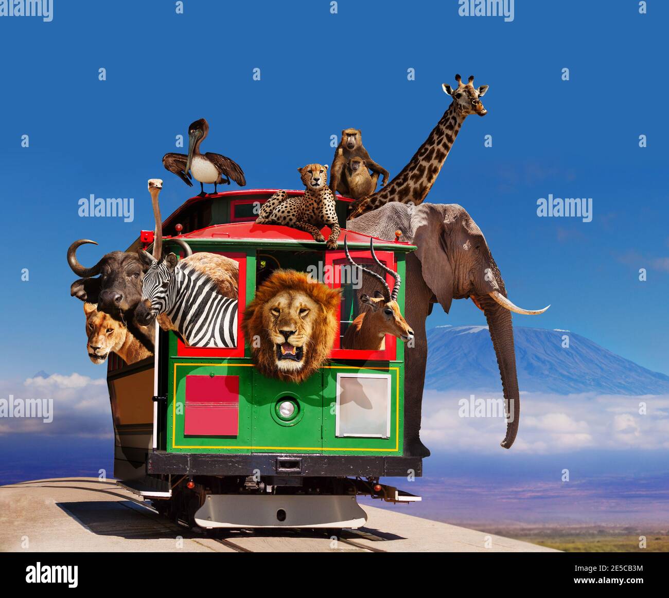 Zoo in the tram concept with animals looking out of the windows, Elephant giraffe cheetah over African Kilimanjaro Stock Photo