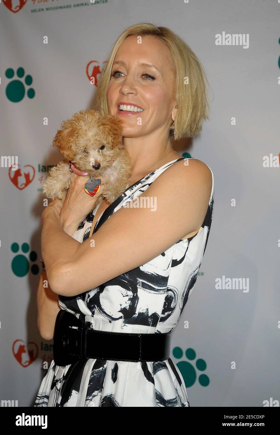 Adoption de chien hires stock photography and images Alamy