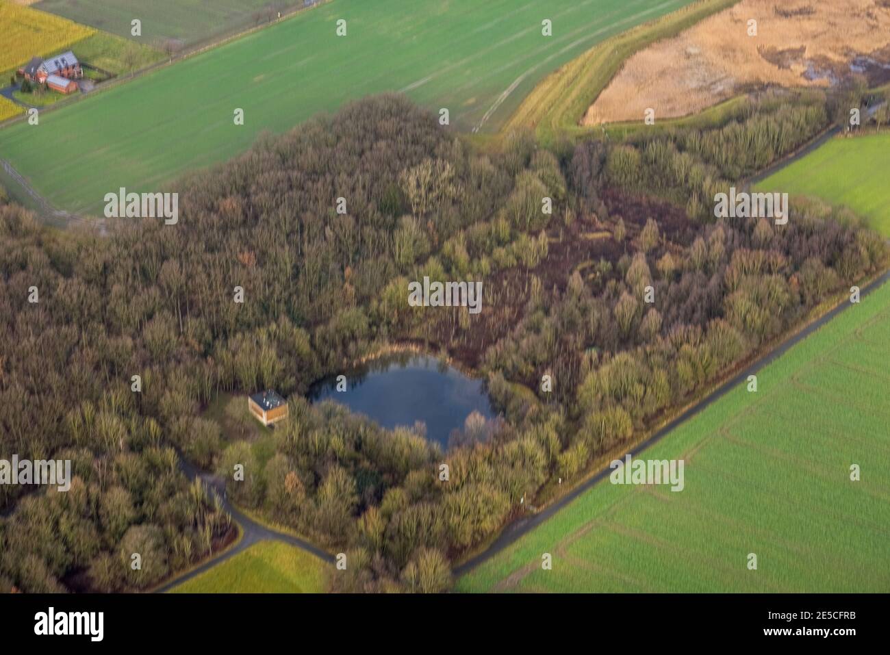 Luftbild Waldgebiet Sandbochumer Heide nahe Kerstheider Straße in Hamm, Ruhrgebiet, Nordrhein-Westfalen, Deutschland, Brachfläche, DE, Europa, Hamm, L Stock Photo
