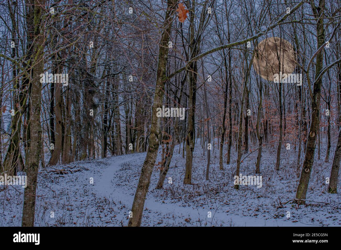 DE - Baden-Württemberg : The raising moon Stock Photo