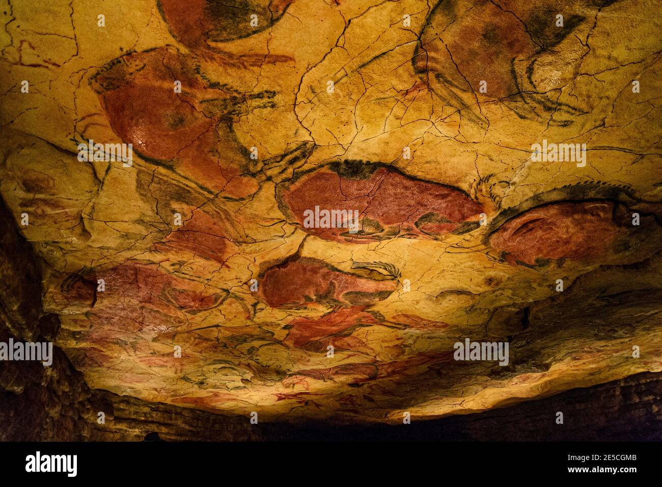 Pinturas rupestres del paleolÃtico en cueva de Altamira Stock Photo