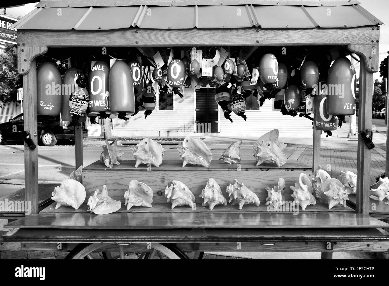 Souvenir cart selling Conch Shells in Key West, Florida, FL USA.  Southern most point in the continental USA.  Island vacation destination. Stock Photo