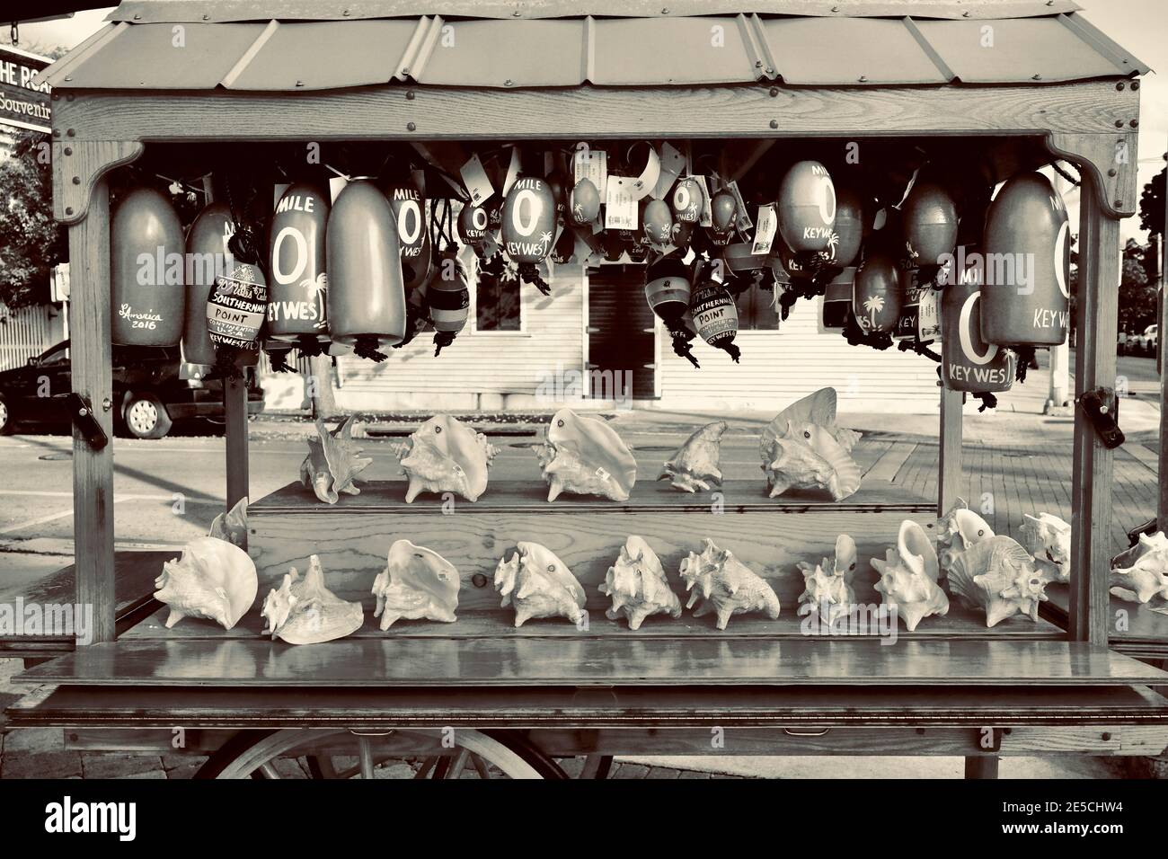 Souvenir cart selling Conch Shells in Key West, Florida, FL USA.  Southern most point in the continental USA.  Island vacation destination. Stock Photo