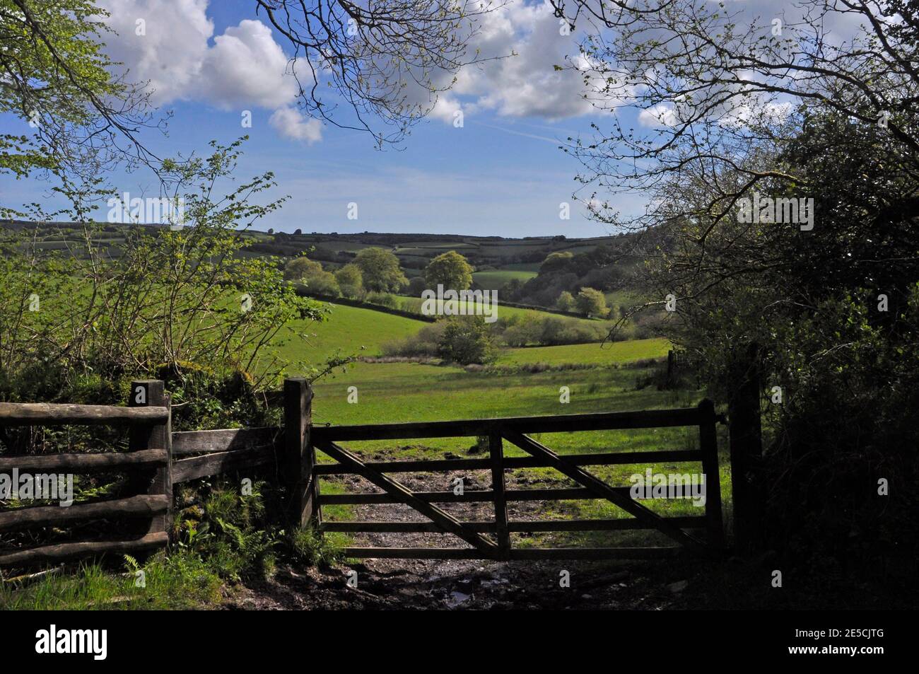 Spring morning on Exmoor , view through a gateway towards Exford.Somerset.UK Stock Photo