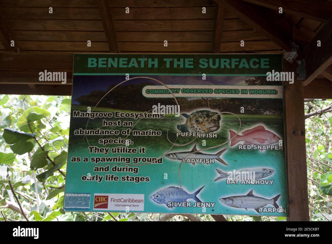 notice board woburn bay marine protected area southern grenada windward