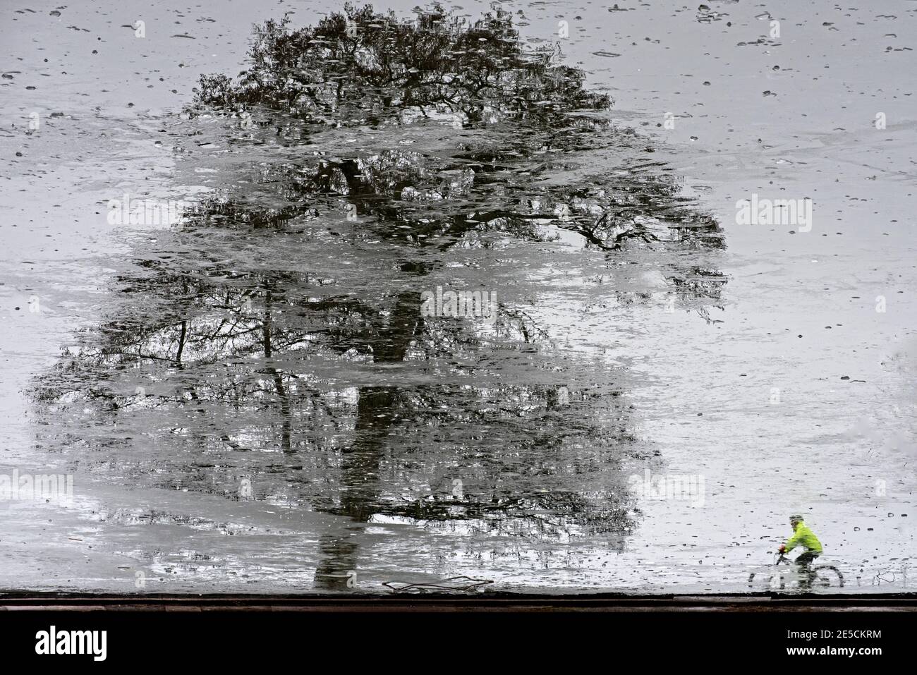 Reflection of a cyclist and tree on a frozen pond in Inverleith Park, Edinburgh, Scotland, UK. Stock Photo