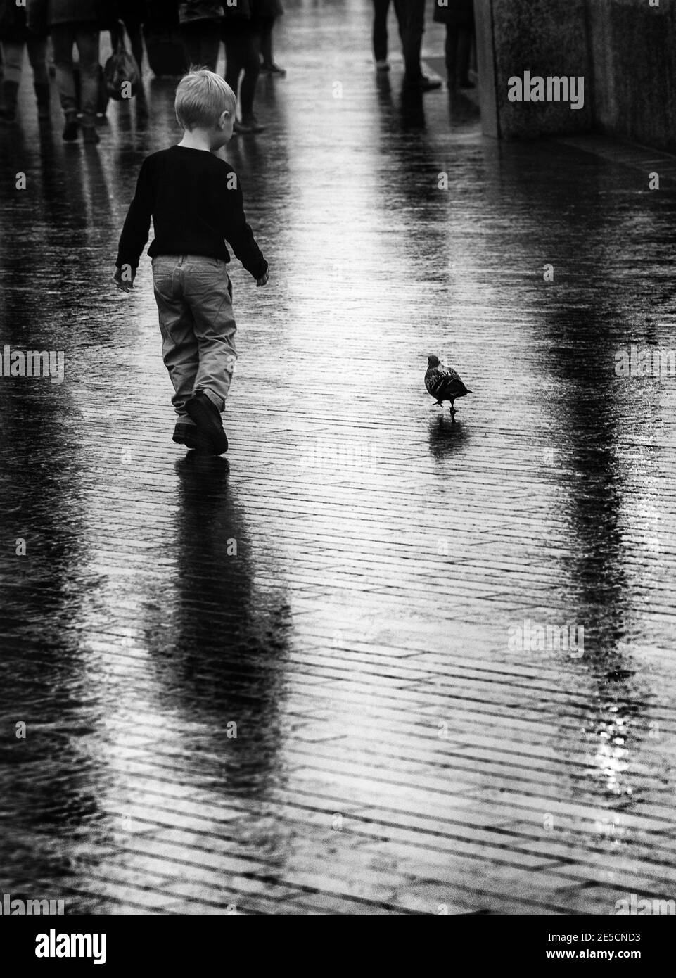 A small boy walking on wet street with dove near him Stock Photo