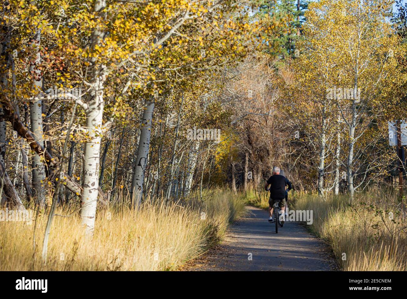 Two old couple Cycling around in Lake Tahoe area at Nevada Stock Photo