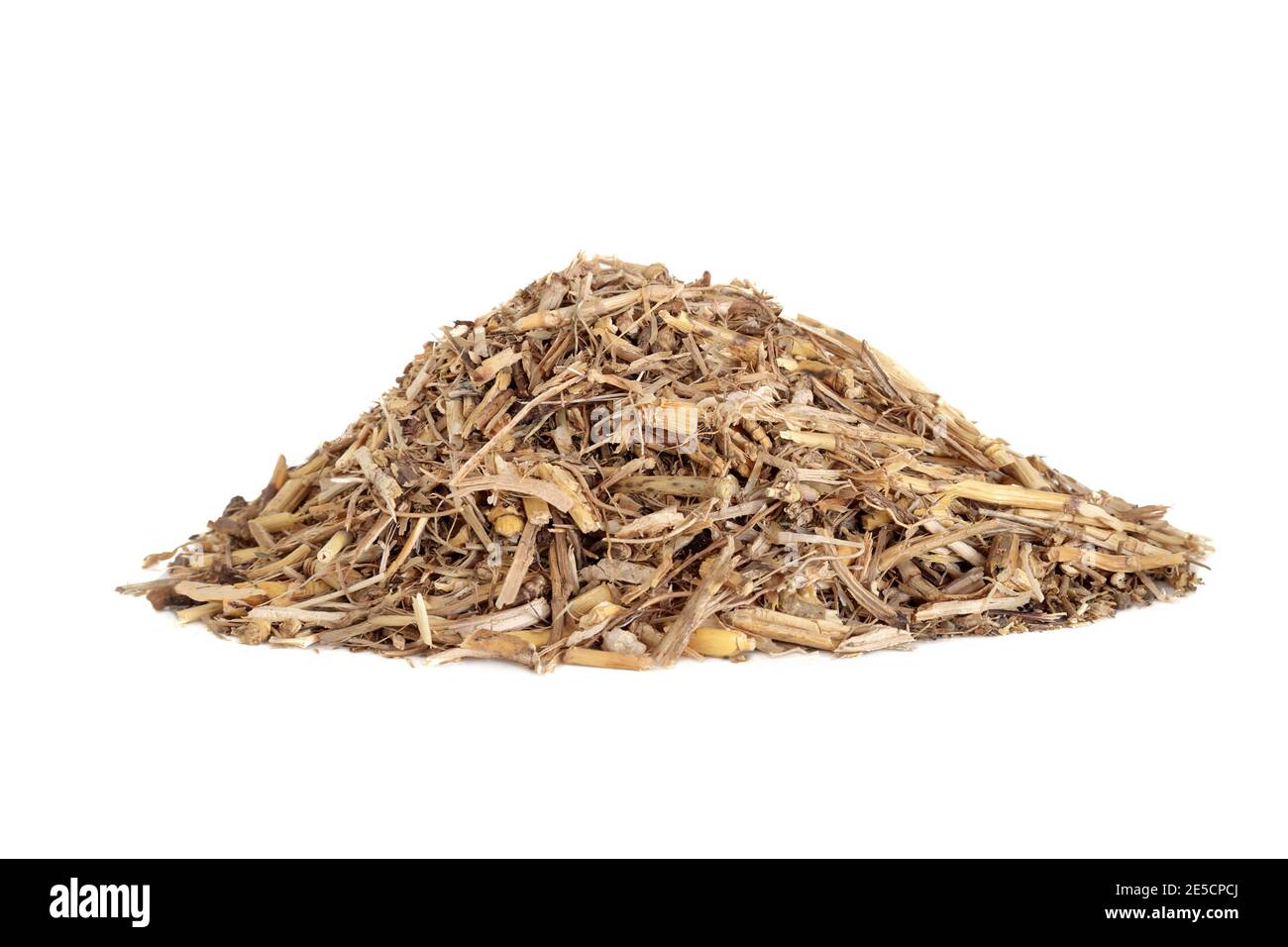 Couch grass herb root used in herbal medicine to treat coughs, fevers