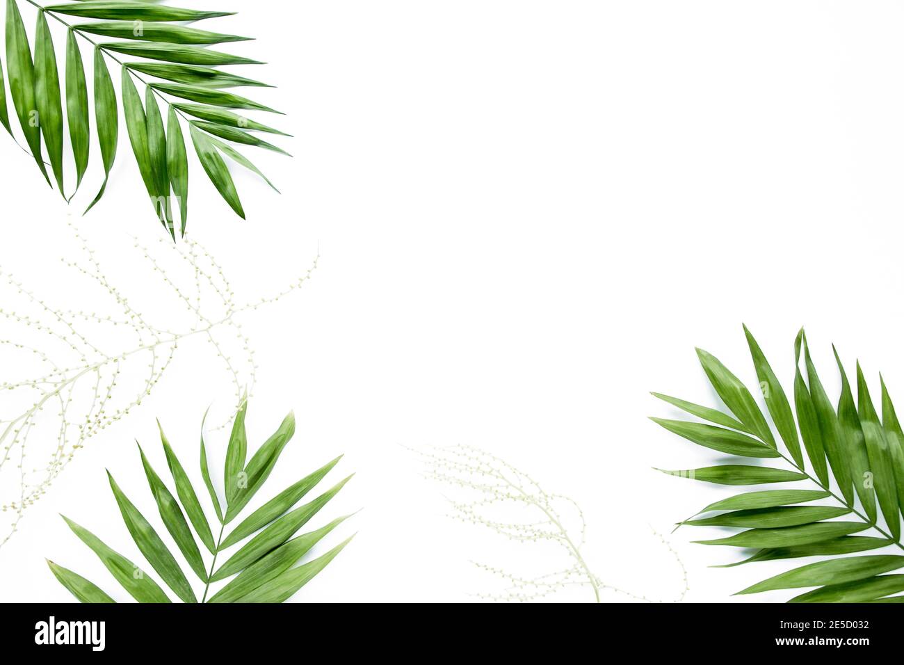 green palm leaf branches on white background. flat lay, top view Stock ...