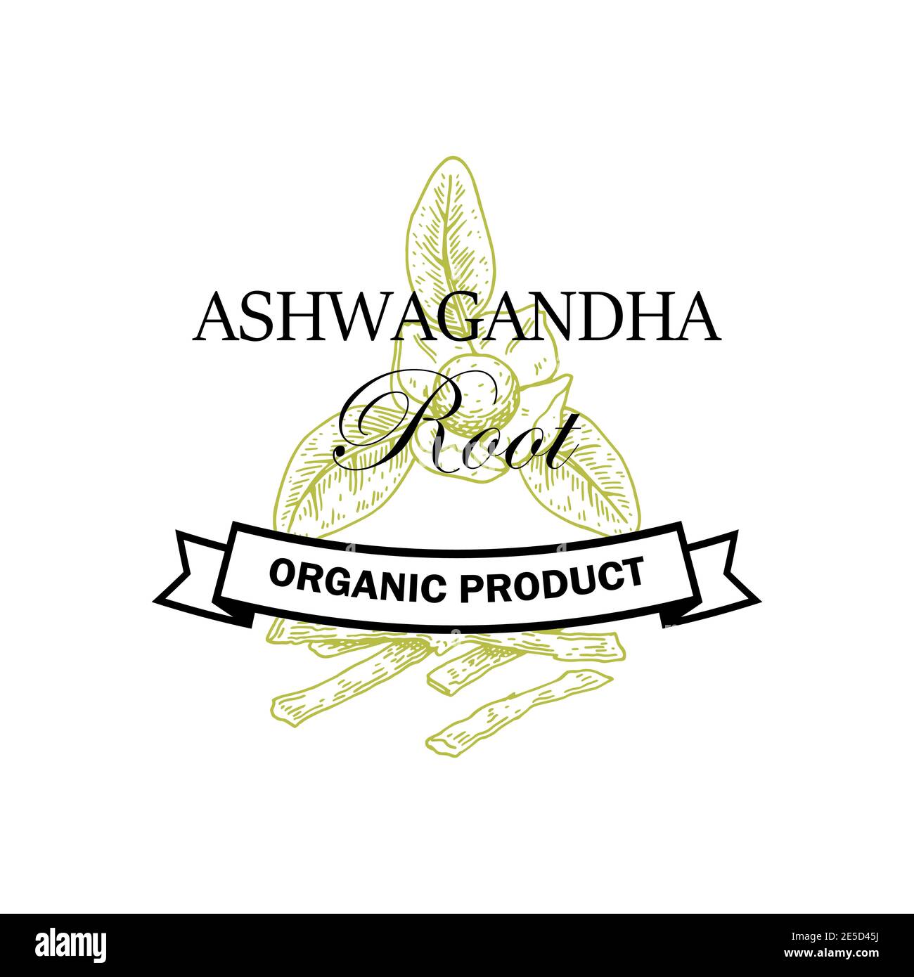 Hand drawn Ashwagandha logo isolated on white background. Vector illustration in sketch style. Stock Vector