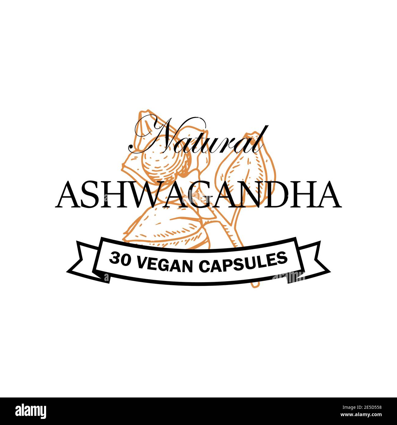 Hand drawn Ashwagandha logo isolated on white background. Vector illustration in sketch style. Stock Vector