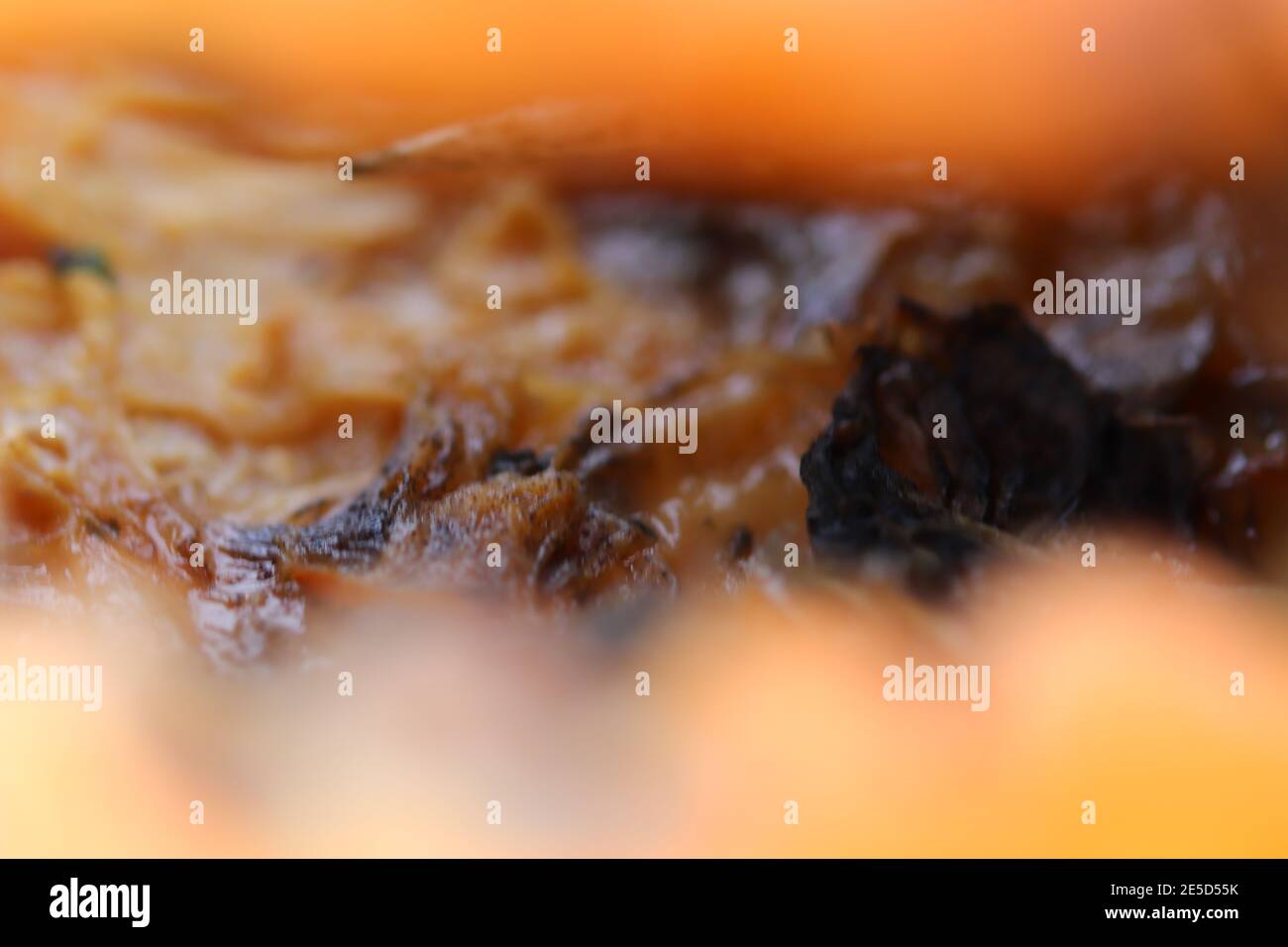 Close up of a pumpkin skin as it rots Stock Photo