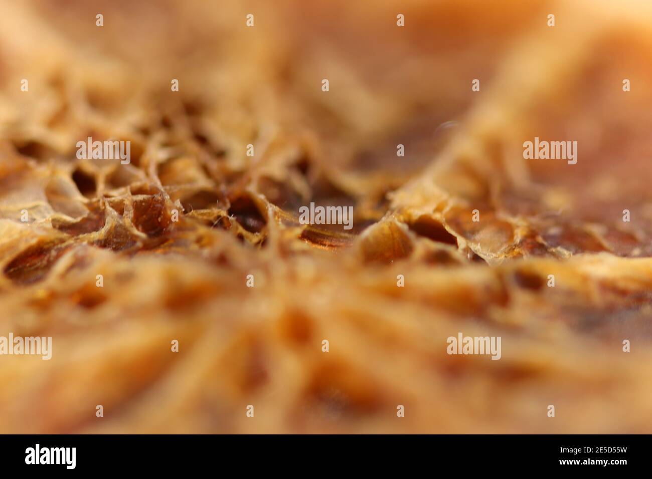 Close up of a pumpkin skin as it rots Stock Photo