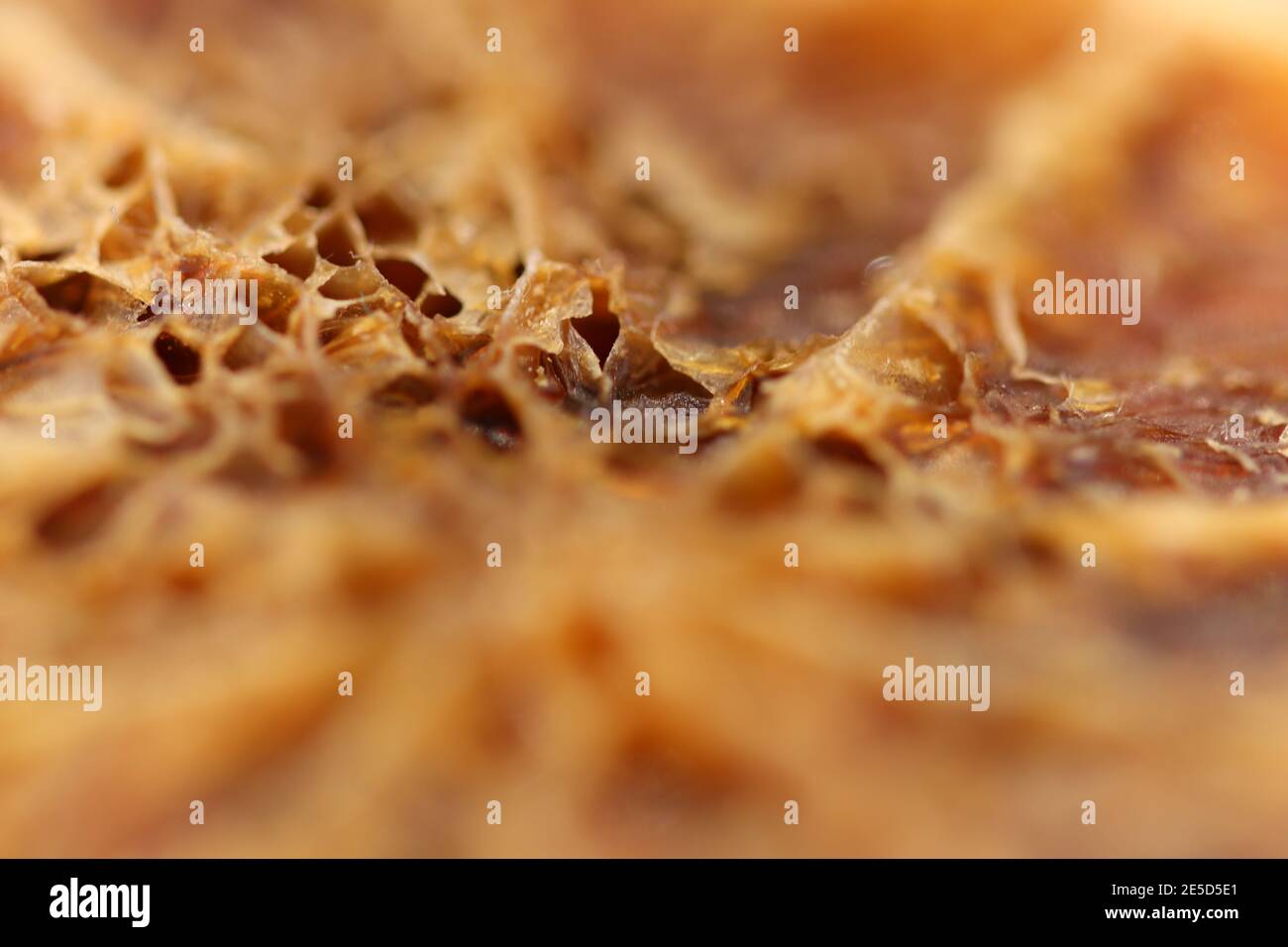 Close up of a pumpkin skin as it rots Stock Photo