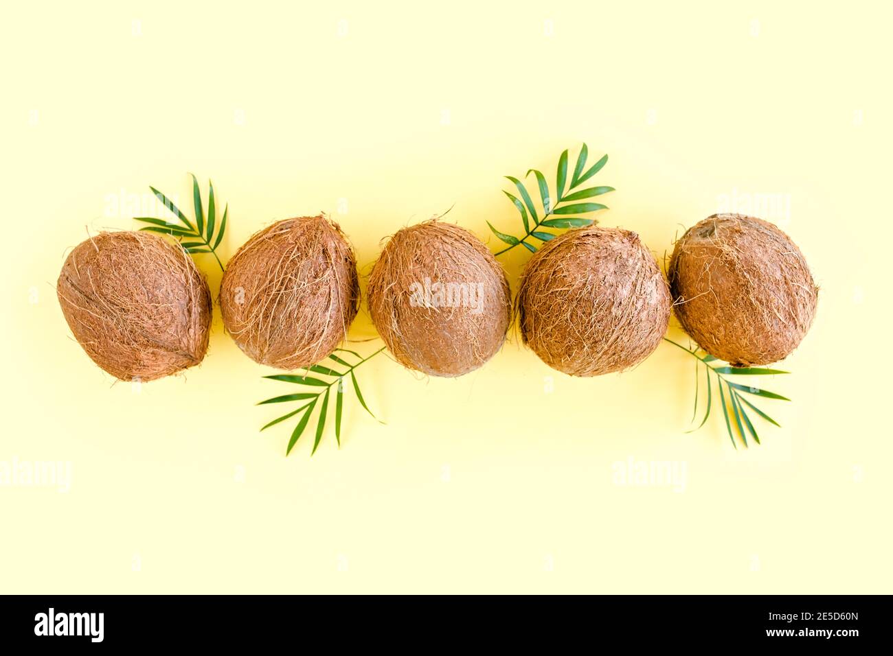 Pattern with coconuts and tropical palm leaves on yellow background. Tropical abstract background. Flat lay, top view. Stock Photo