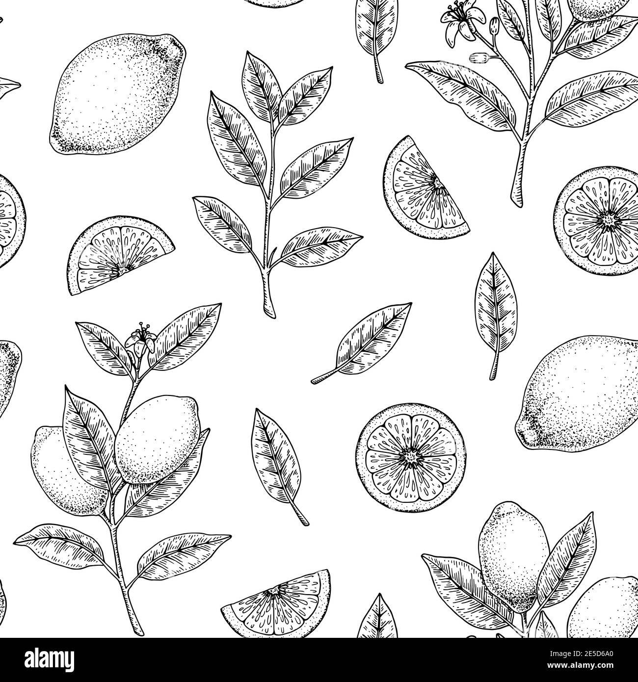 Hand drawn seamless pattern with lemon fruit, leaves and branches with ...