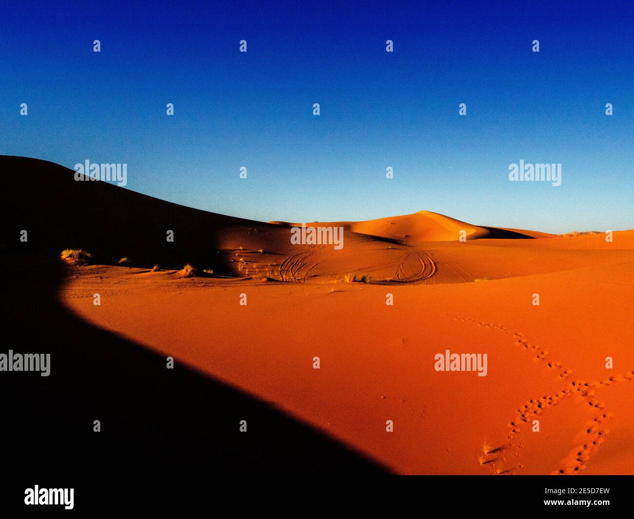 Orange Sand dunes in the Sahara Desert, Morocco Stock Photo Alamy