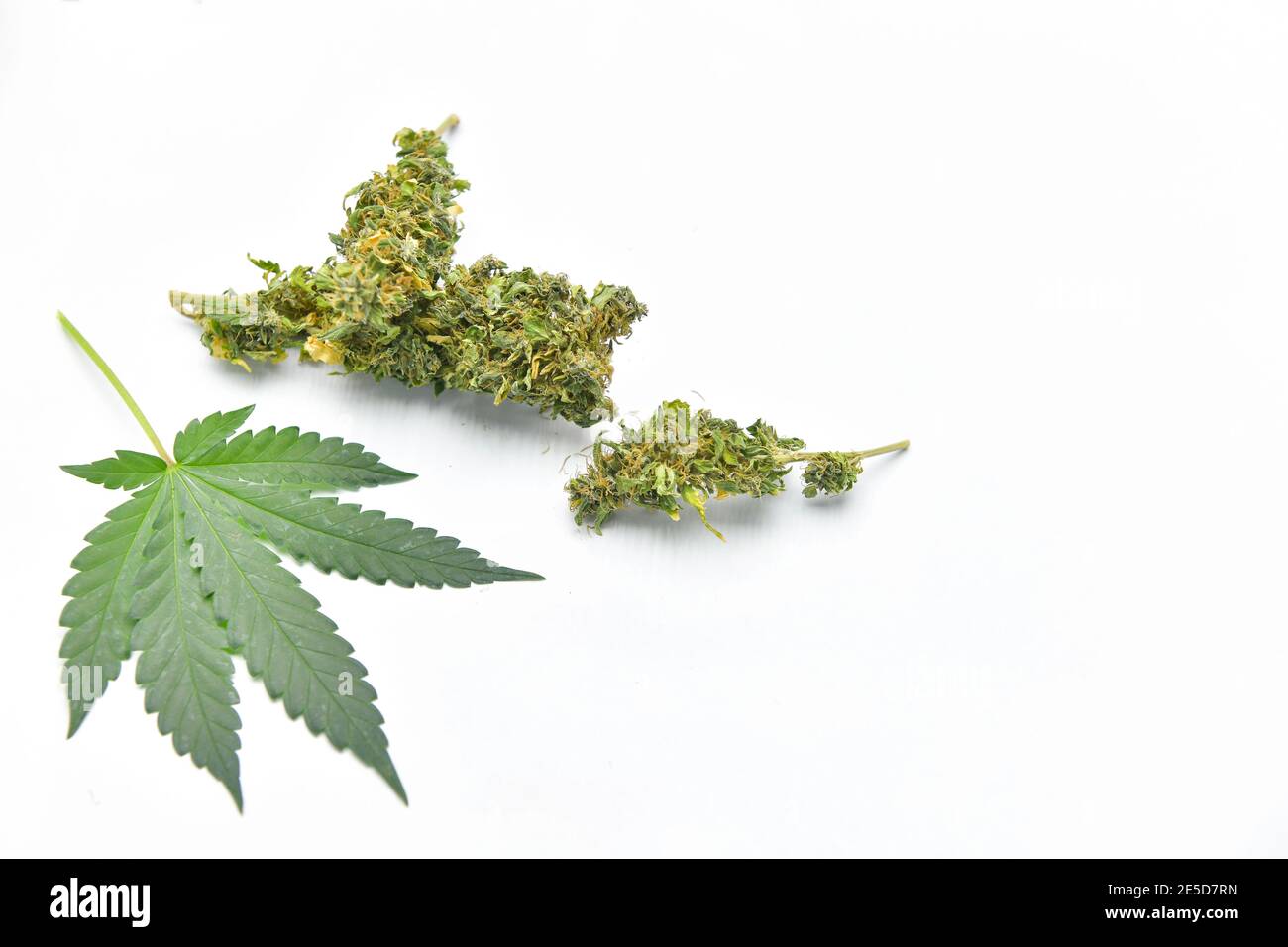 https://c8.alamy.com/comp/2E5D7RN/close-up-of-a-cannabis-leaf-and-marijuana-2E5D7RN.jpg