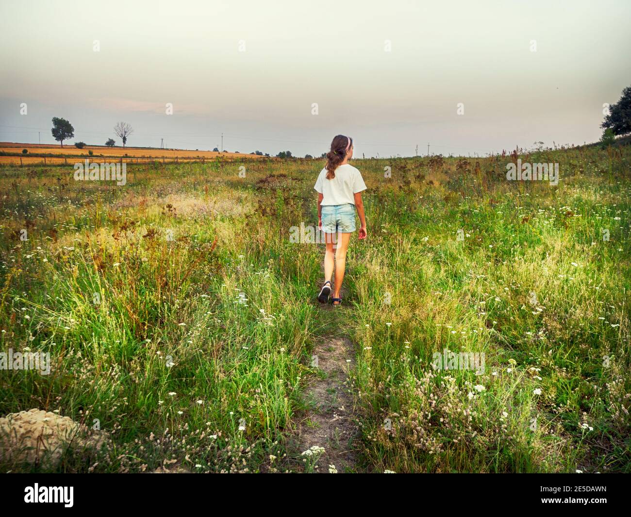 Rear view of a girl walking in the countryside, Poland Stock Photo