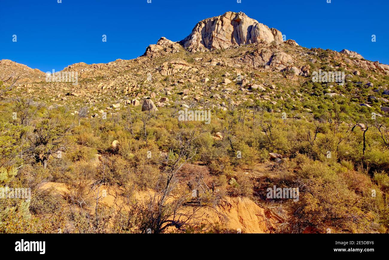 Summit of Granite Basin Recreation Area, Prescott National Forest, Arizona, USA Stock Photo