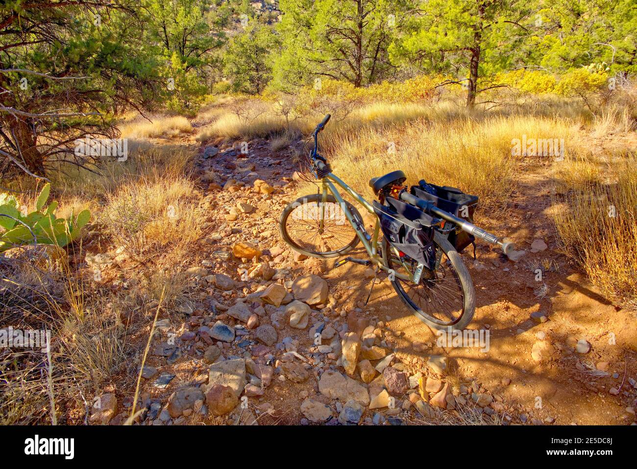 Bicycle with saddle bags Parked on a rocky trail, Granite Basin Recreation Area, Prescott National Forest, Arizona, USA Stock Photo