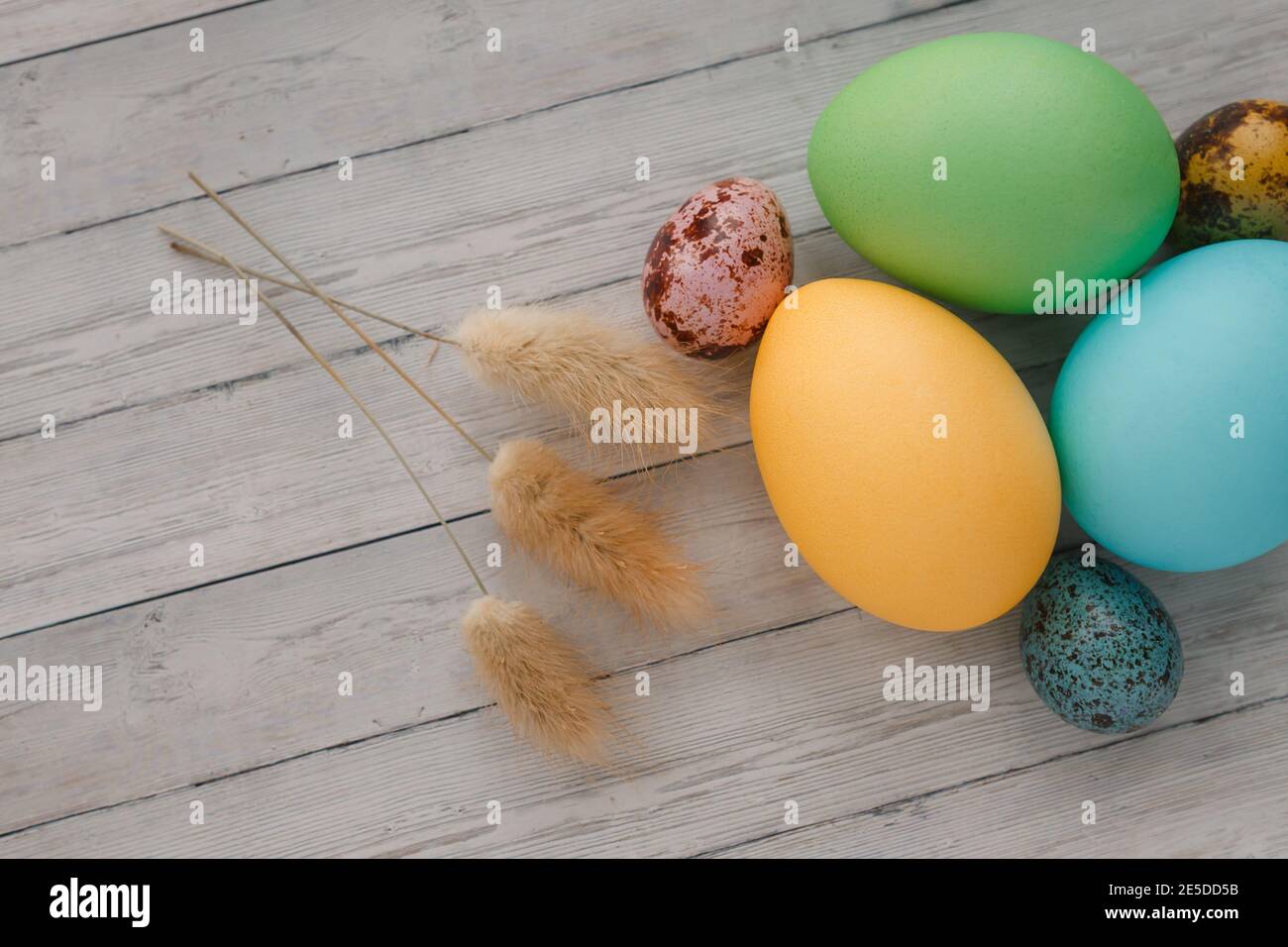 Many colorful painted Easter eggs on wooden background, top view. Stock Photo