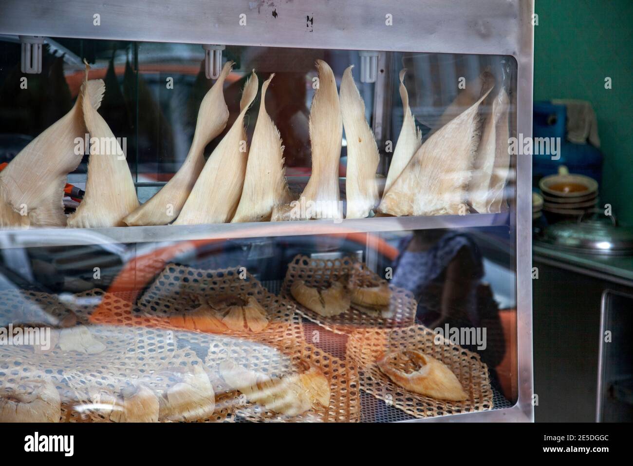 Shark fins displayed in the window of a restaurant in central Bangkok, Thailand. Stock Photo