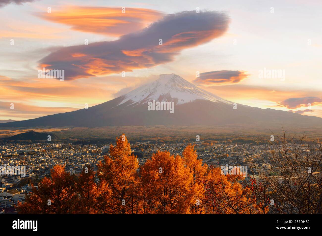 Mount Fuji at sunset with a maple tree in foreground, Honshu, Japan Stock Photo
