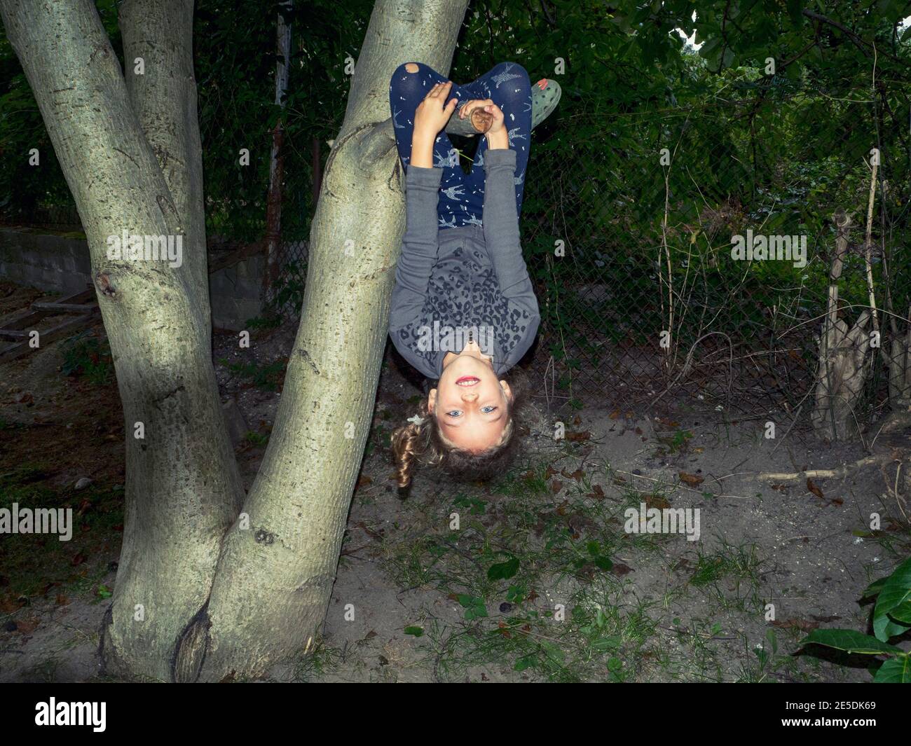 Smiling girl hanging upside down in a tree, Poland Stock Photo
