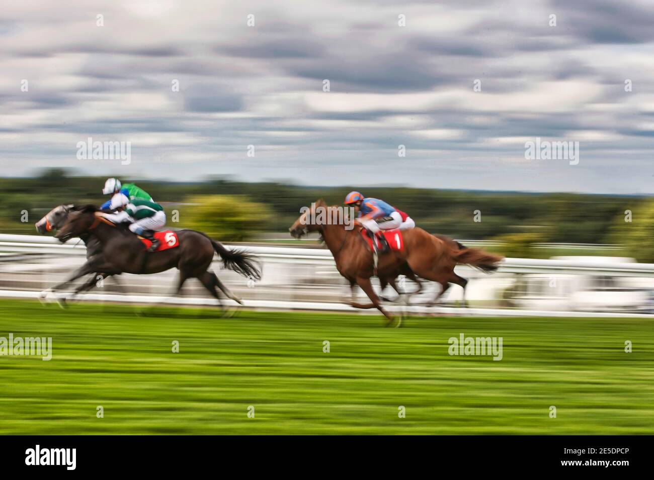 Horse Racing Horses High Resolution Stock Photography and Images - Alamy