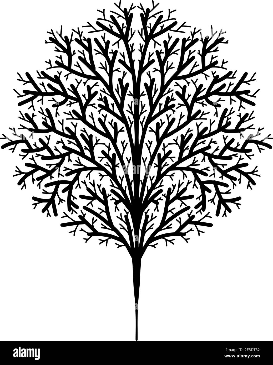 Tree of Life Hand Drawn Design Vector Stock Vector Image & Art - Alamy