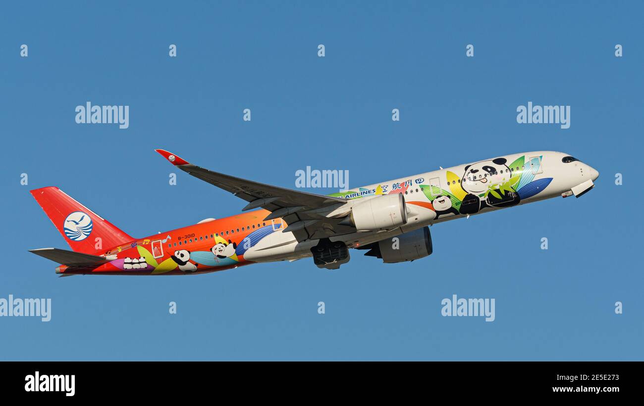 A Sichuan Airlines Airbus A350-900 jetliner (B-301D) painted in special Panda livery, airborne after departure from Vancouver International Airport. Stock Photo