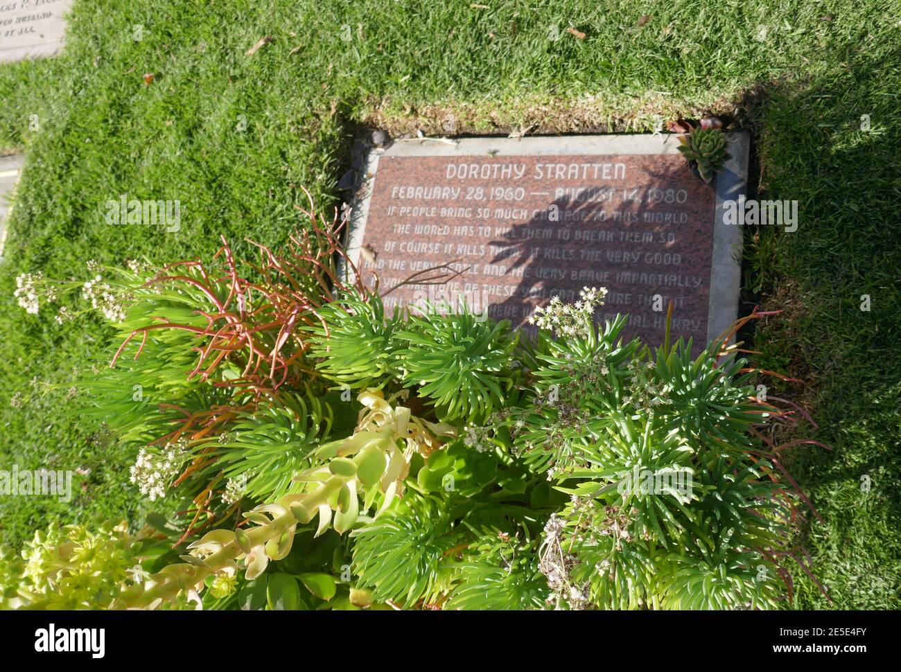 Los Angeles, California, USA 26th January 2021 A general view of atmosphere of Dorothy Stratten's grave at Pierce Brothers Westwood Village Memorial Park on January 26, 2021 in Los Angeles, California, USA. Photo by Barry King/Alamy Stock Photo Stock Photo