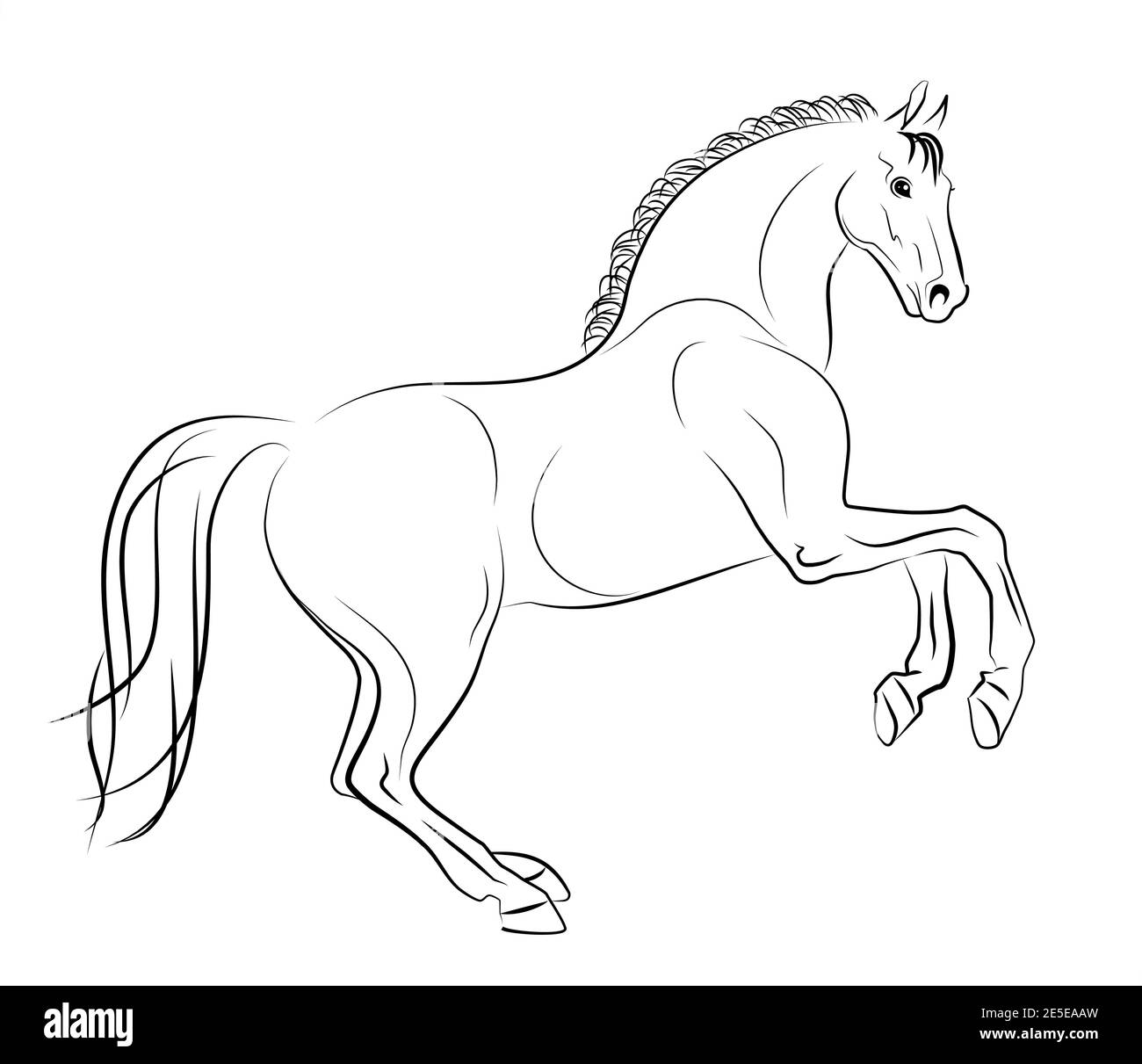 Beautiful thoroughbred racing horse. Vector drawing. Black and white sketch. Stock Vector