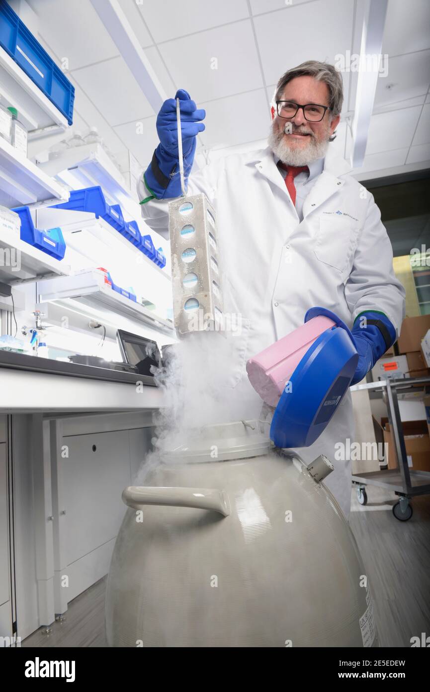 Kevin Hicok, Head of Research and Development at Direct Biologics, seen here pulling ExoFlo out of dry ice at Direct Biologics Research & Development Laboratories University of California. Doctors have been amazed by this new Innovative COVID-19 Treatment ExoFlo. The treatment fulfills an unmet but urgent medical need. Medical professionals are enthusiastic about unlocked potential of regenerative properties of bone marrow mesenchymal stem cell (MSC)-derived extracellular vesicles and ExoFlo. ExoFlo Represents a New Frontier in Regenerative Health Solutions. Stock Photo