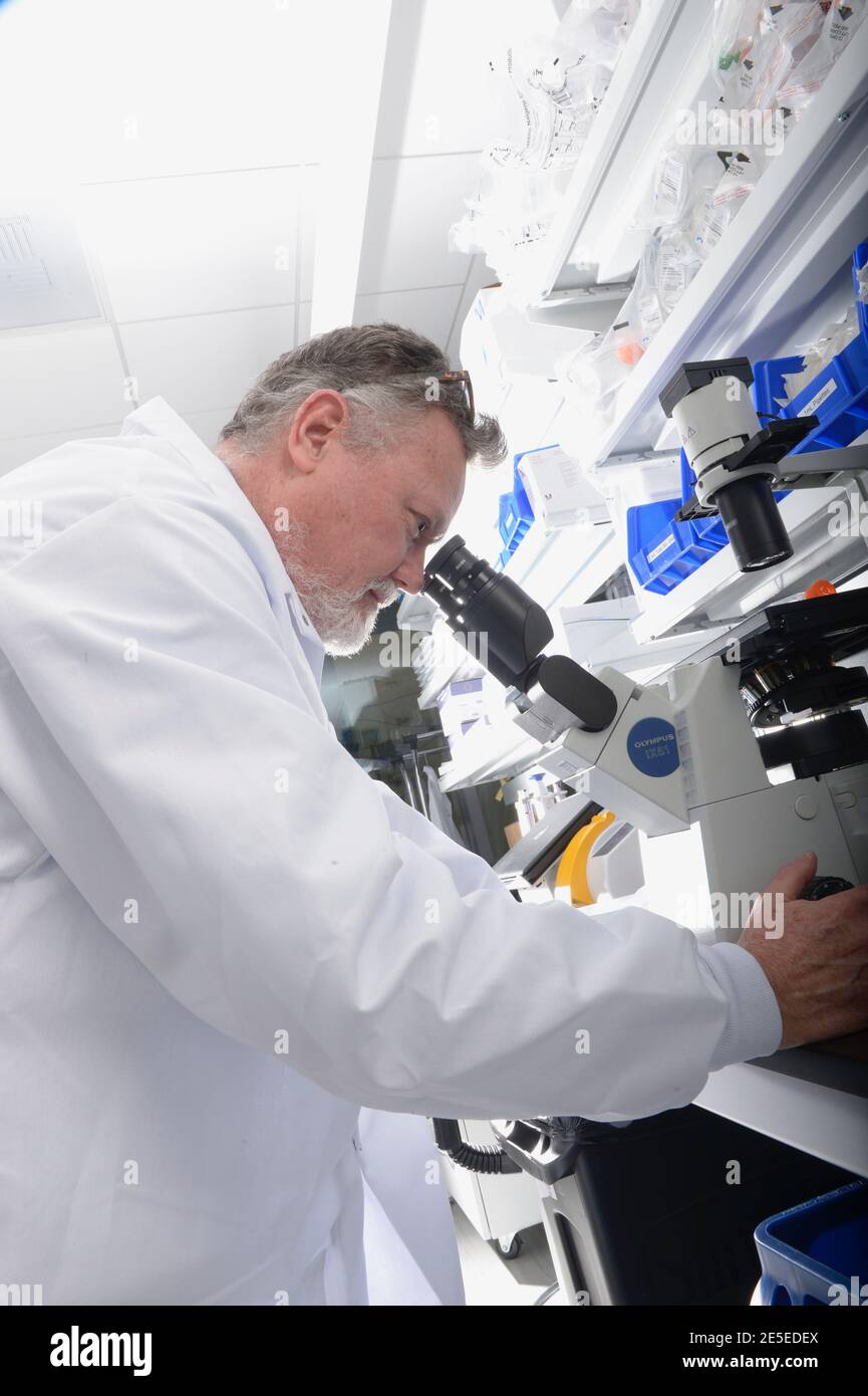 Timothy Moseley, PhD, Chief Scientific Officer at Direct Biologics, seen here peering through a microscope at Direct Biologics Research & Development Laboratories University of California. Doctors have been amazed by this new Innovative COVID-19 Treatment ExoFlo. The treatment fulfills an unmet but urgent medical need. Medical professionals are enthusiastic about unlocked potential of regenerative properties of bone marrow mesenchymal stem cell (MSC)-derived extracellular vesicles and ExoFlo. ExoFlo Represents a New Frontier in Regenerative Health Solutions. Stock Photo