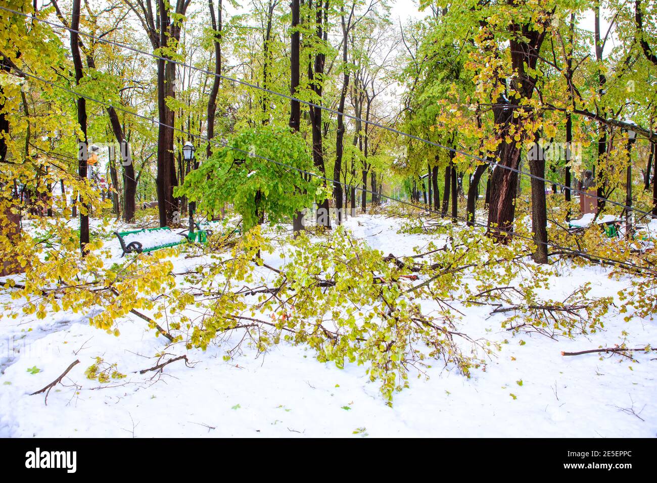 Morning after the snowstorm hi-res stock photography and images - Alamy