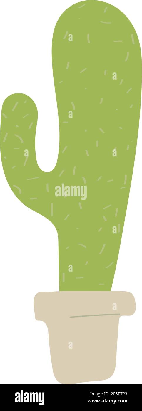 potted cactus plant isolated on white background vector illustration ...