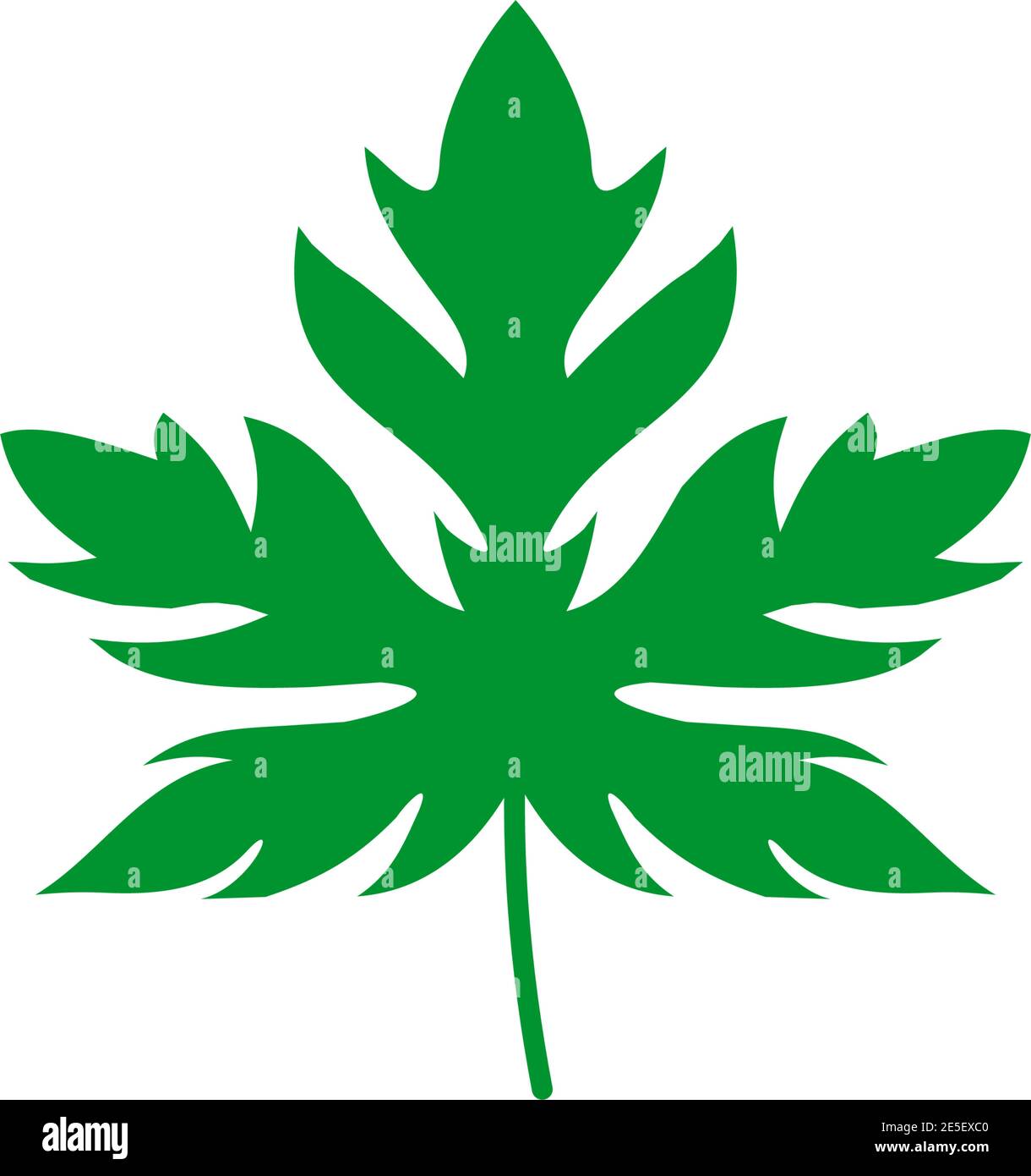 Papaya leaf logo design vector template Stock Vector