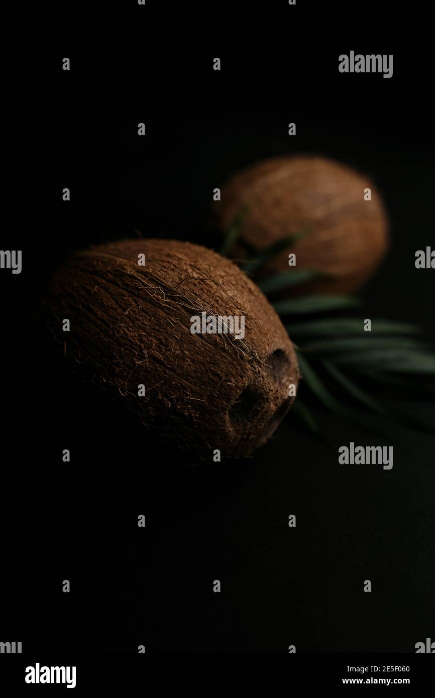 Raw coconut on the black background. Blurred background Stock Photo