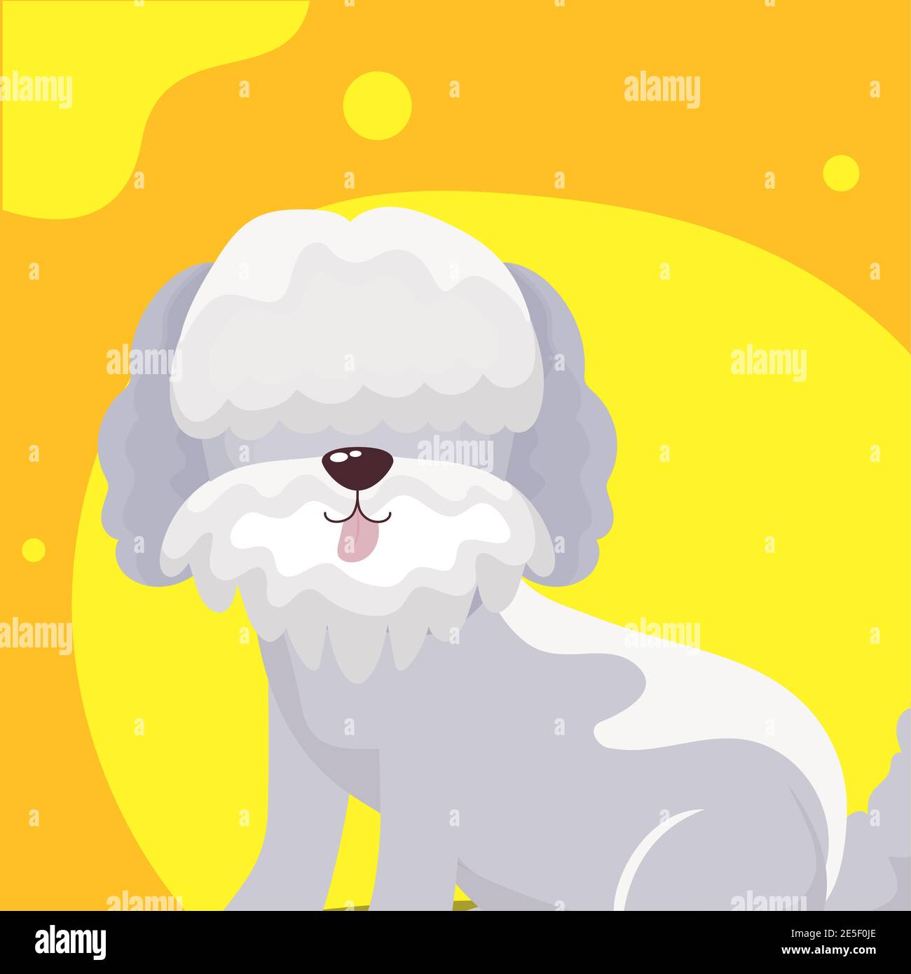 portrait of cute little dog poodle vector illustration Stock Vector ...