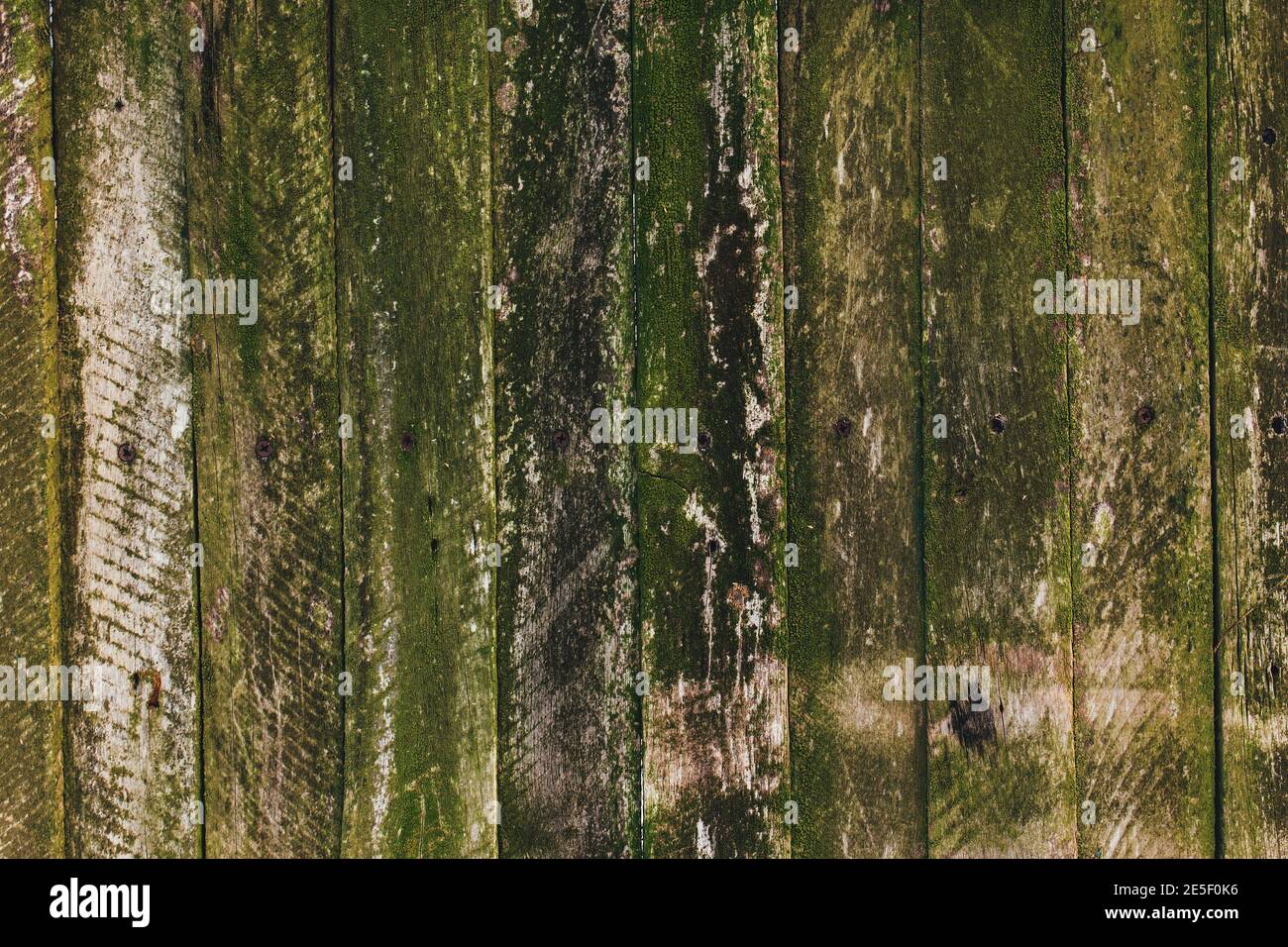Brown green old wooden fence background. Old boards texture Stock Photo