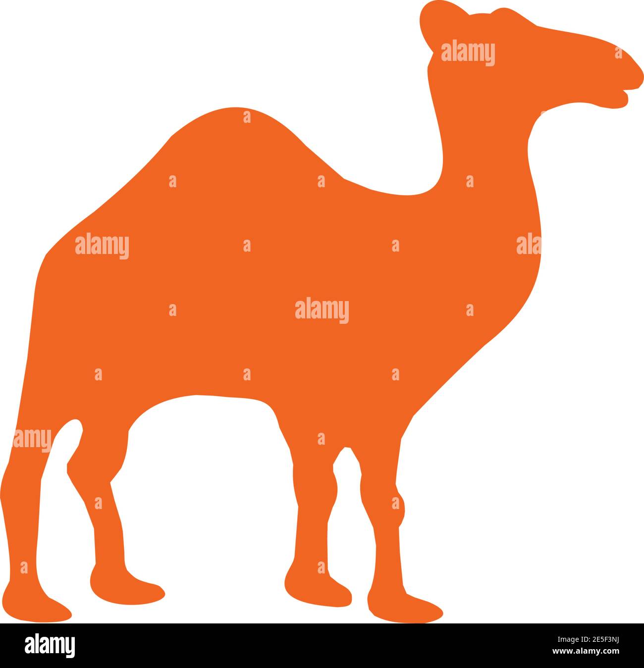 Camel animal logo design vector template Stock Vector
