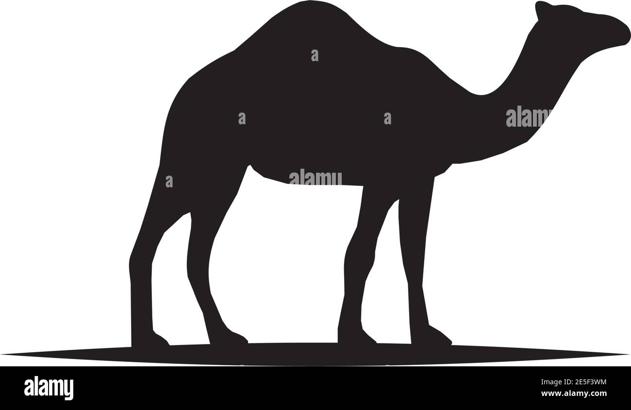 Camel animal logo design vector template Stock Vector