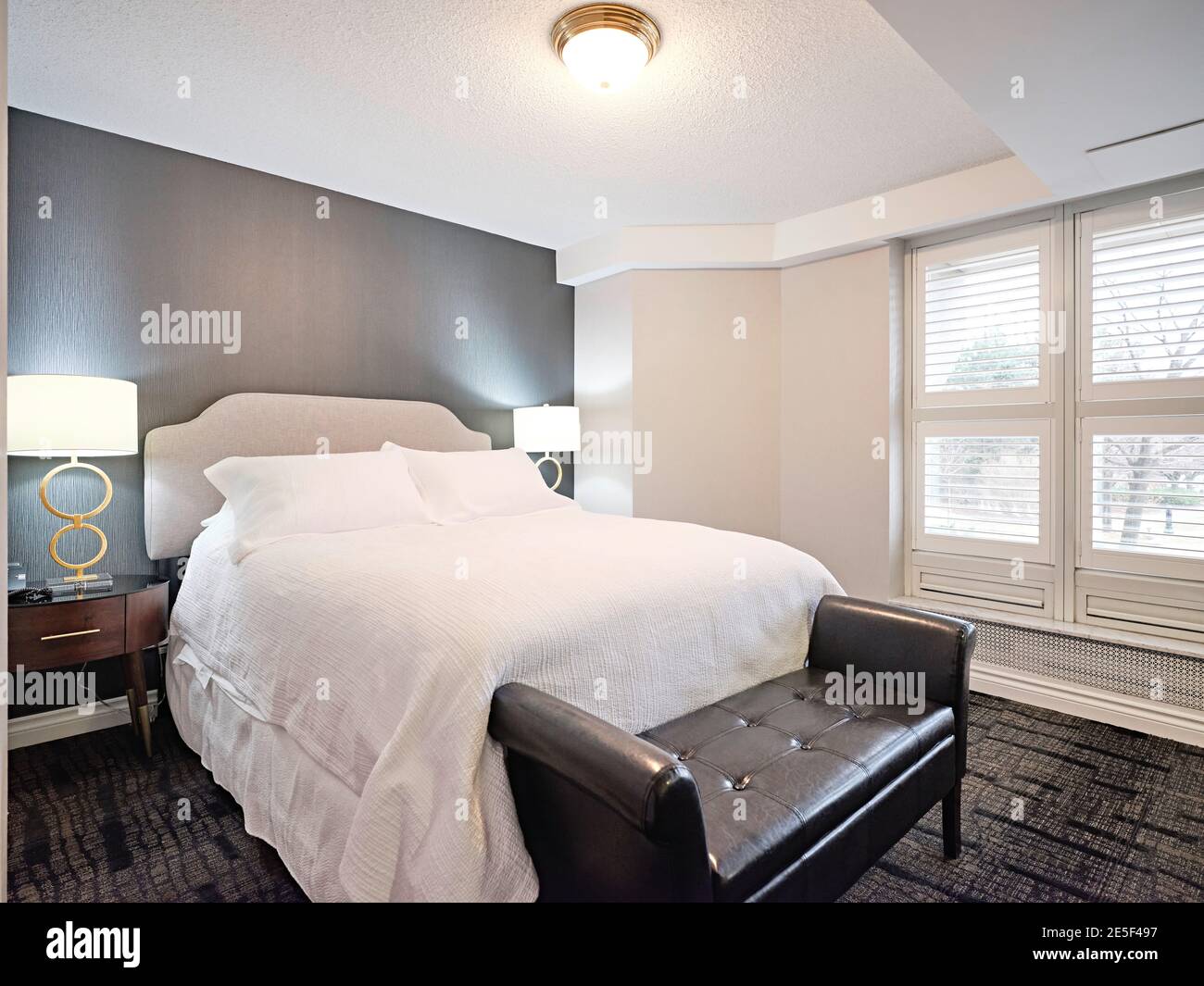 Curated visual reference: Condominium Guest Suite Hi Res Stock Photography And Images Photo Inspiration