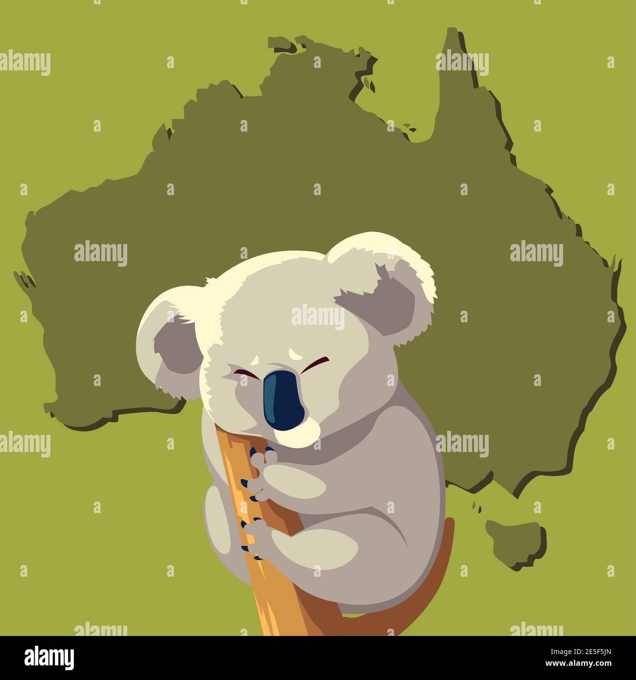 koala on branch tree australian animal wildlife map vector illustration ...